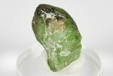 Olivine Peridot Crystal with Ludwigite Inclusions - Pakistan #183945-2
